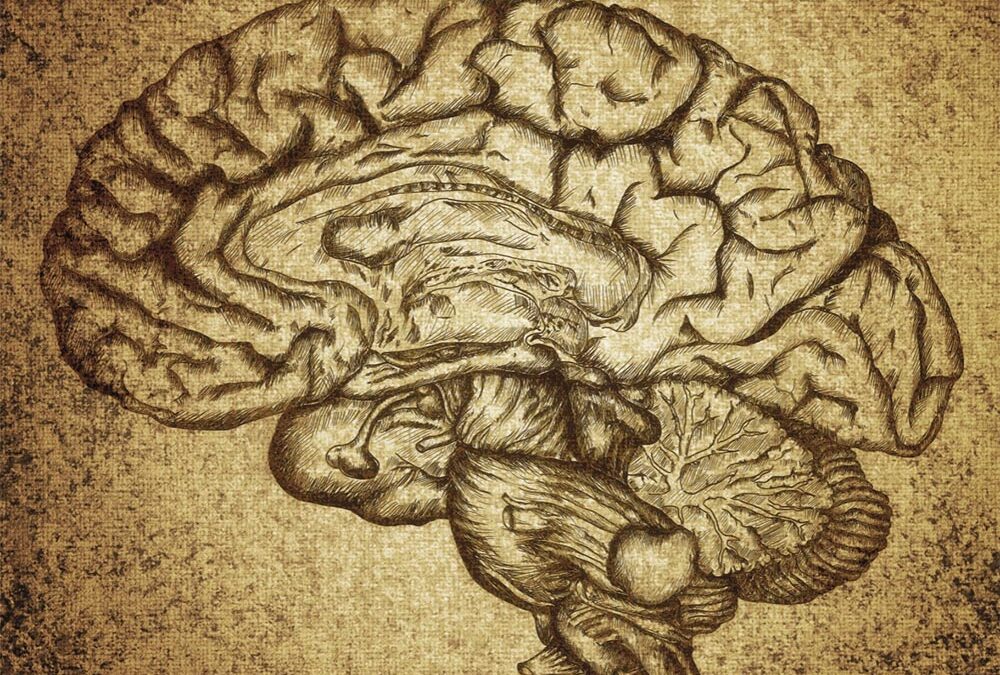 La prise en charge spécifique des traumatisés crâniens